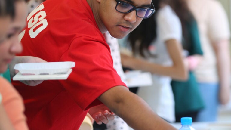 شجرة الإنسانية: منظور مختلف للتنوع الثقافي في جامعة جورجتاون قطر