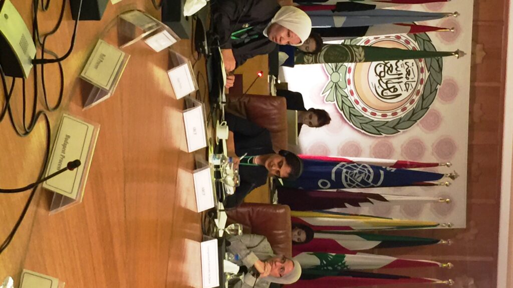Zahra Babar attends conference by IOM and the League of Arab States