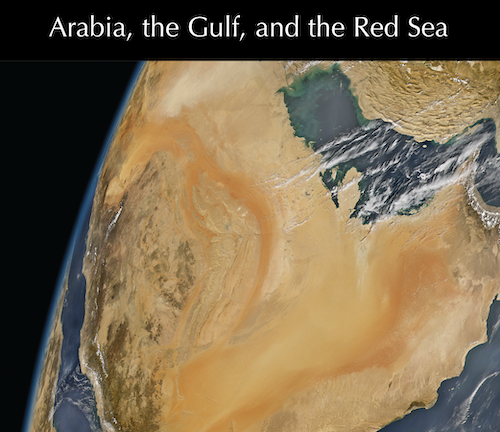 CIRS Special Issue of JAS: Qatar’s World Cup Goals