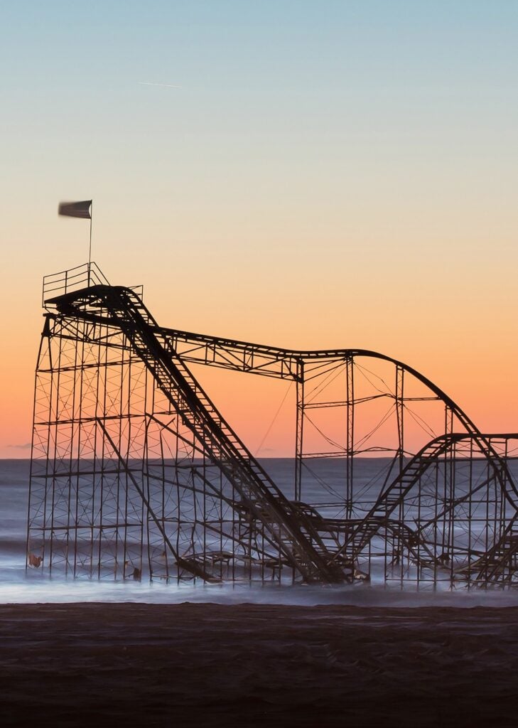 Cover of Regeneration journal special issue