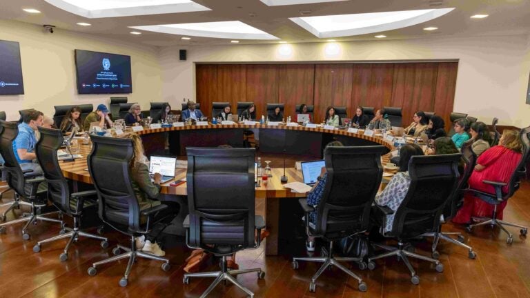 2025_11_16 CIRS_Working Group-25